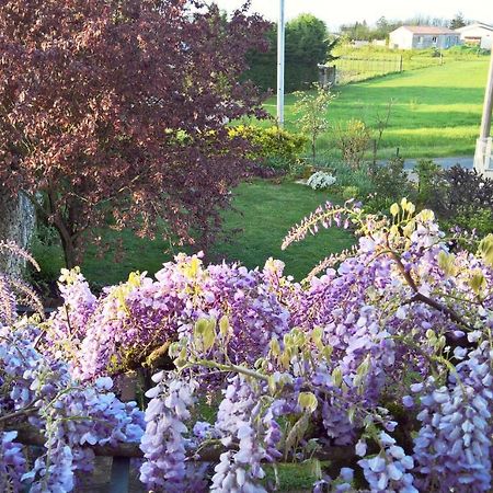 Les Glycines Bed & Breakfast Eymet Kültér fotó